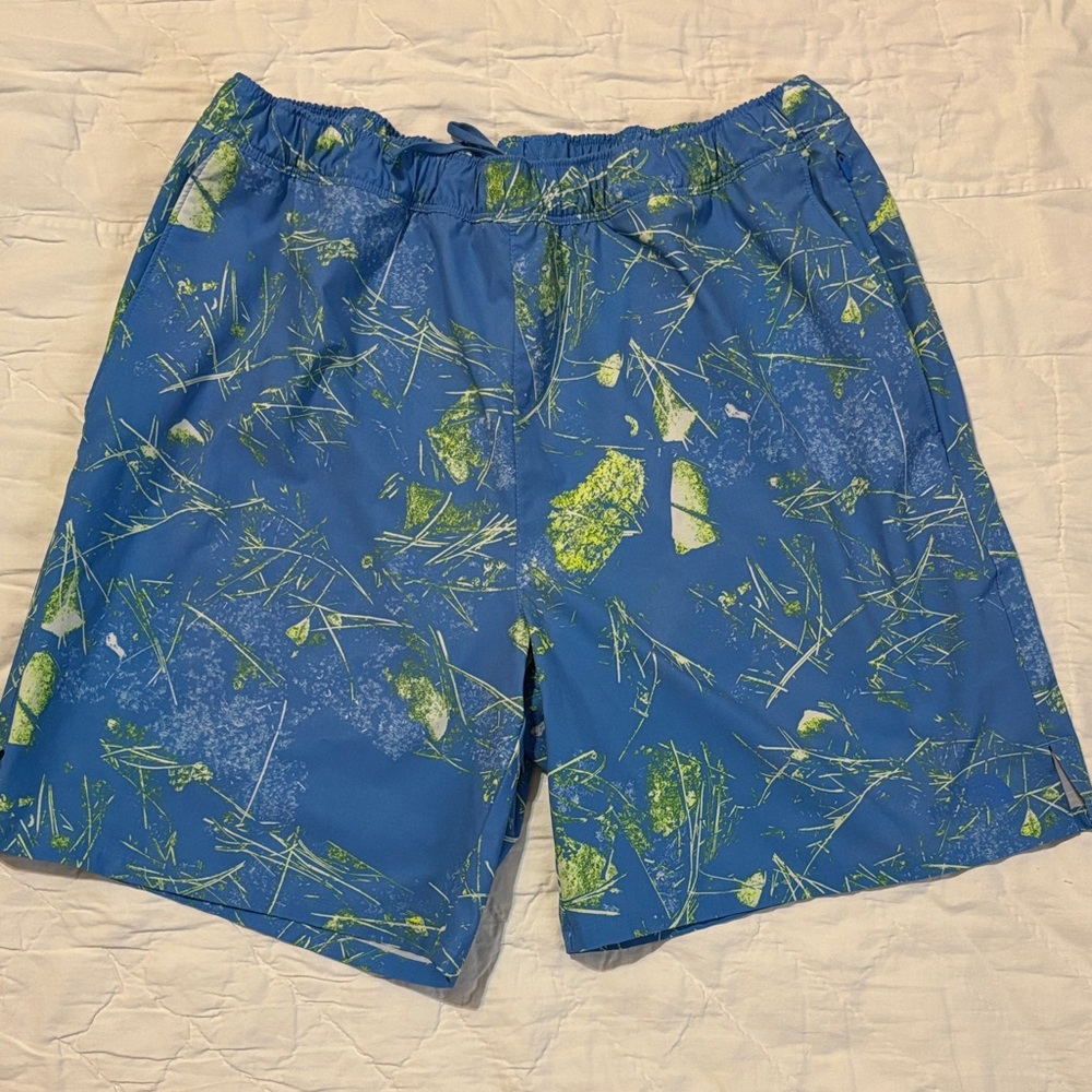 The‎ North Face Blue and Green Swim Trunks